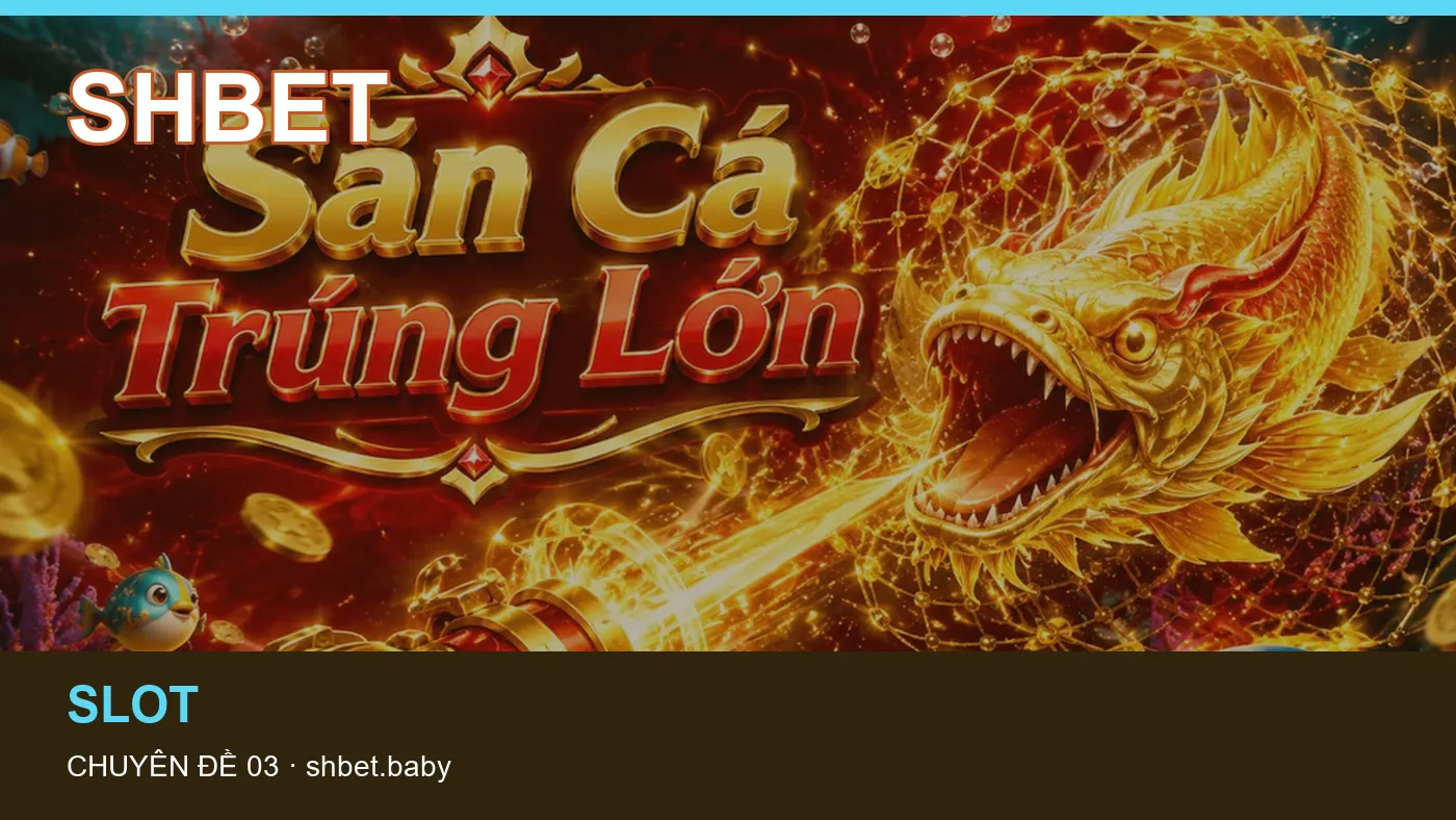 Hình minh họa bài viết SHBET