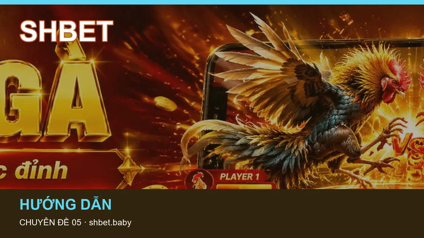 Hình minh họa bài viết SHBET